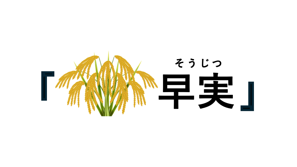 お受験パパが徹底解剖！】早稲田実業学校初等部を深掘り！倍率12倍を